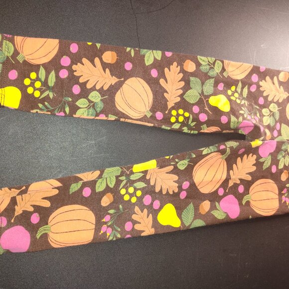 *Pre-Owned Children's Place Brown Matching Pants Set with Fall Season Accents* - Picture 5 of 9